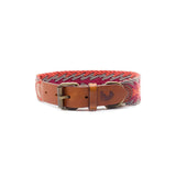 Buddys Hundehalsband Peruvian Arrow Orange