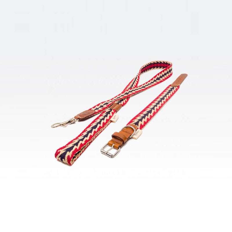 Buddy Hundehalsband Peruvian Arrow Rot mit passender Leine