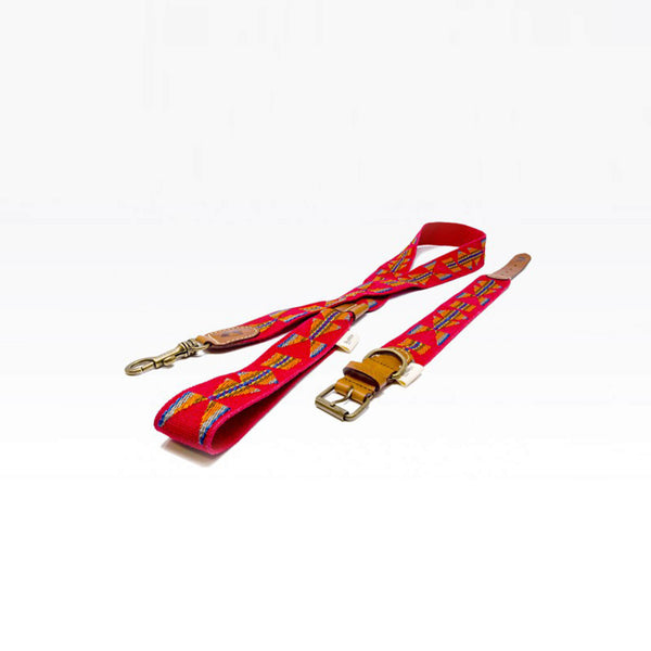 Nachhaltige Hundeleine Etna von Buddys Rot mit passendem Halsband