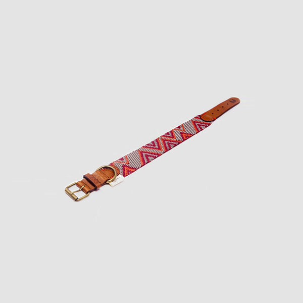 Buddy Hundehalsband Peruvian Pikes ausgerollt