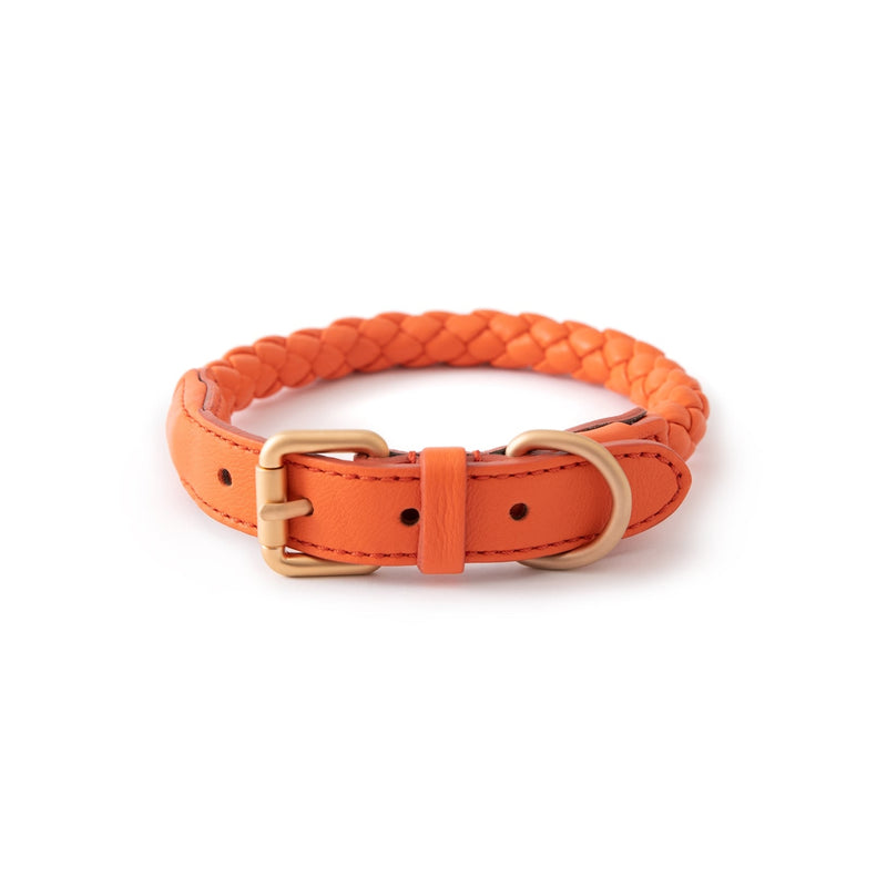 duepuntoOtto Hundehalsband aus Leder Ferdinando | Tangerine Orange