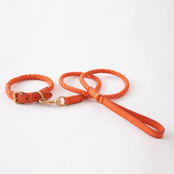 duepuntoOtto Hundeleine Ferdinando | Tangerine Orange