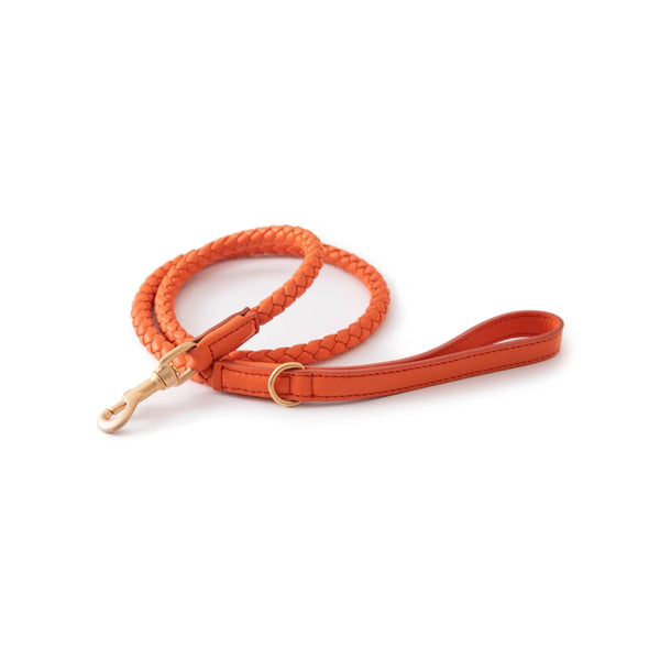 duepuntoOtto Hundeleine Ferdinando | Tangerine Orange