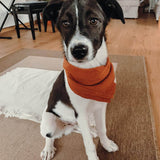 Halstuch für Hunde mit Druckknopf | Braun