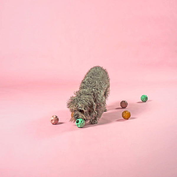 Hevea Hundespielzeug Mondball | Rosa