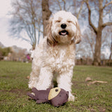 Beco - nachhaltiges Kuscheltier - Toby der Teddy