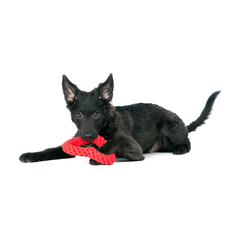 Laboni Spielzeug für Hunde | Hertha Heart