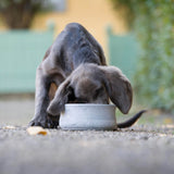 Laboni Rocky  - der Napf für Hunde und Katzen | Naturstein