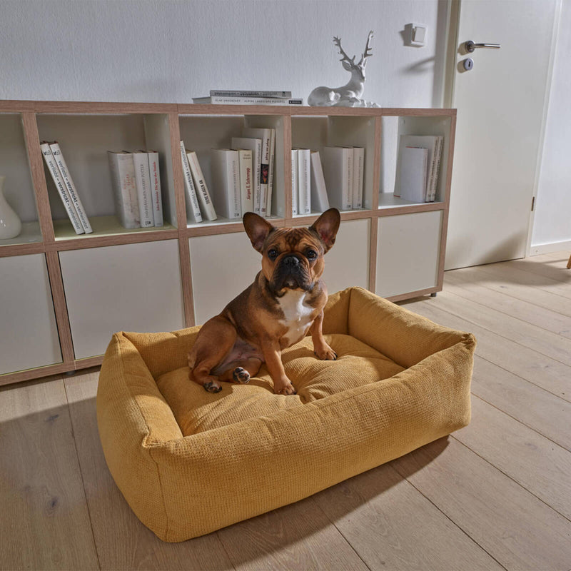 LABONI Classic Hundebett | Kollektion TUDOR | Gelb