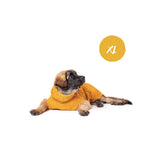 Lill's Hundebademantel Amber