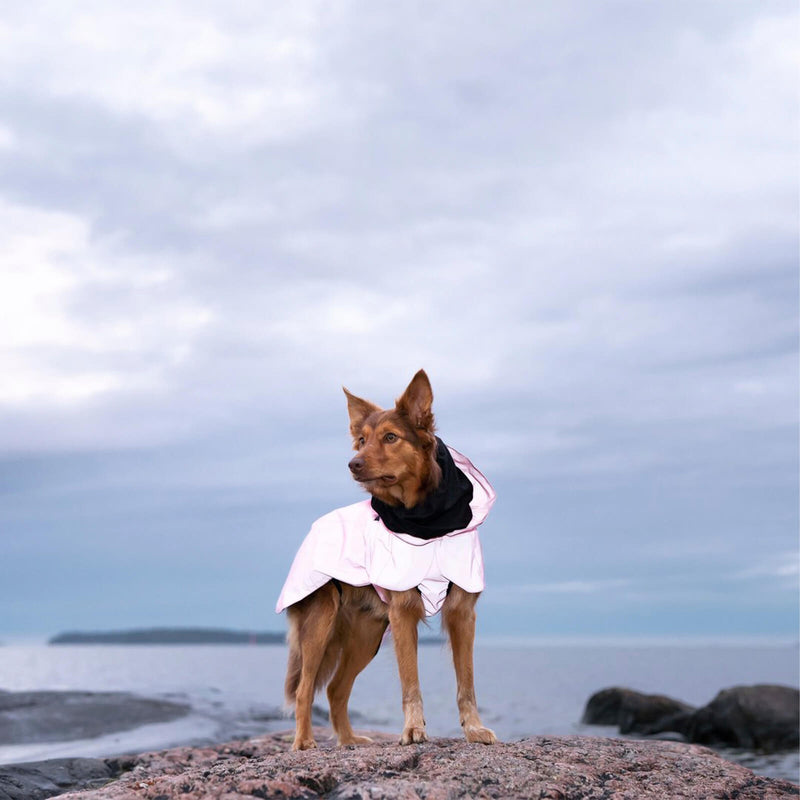 Paikka Hunderegenjacke Pink reflektierend mit Hund