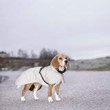 Regenmantel für Hunde von Paikka Schwarz reflektierend mit Beagle