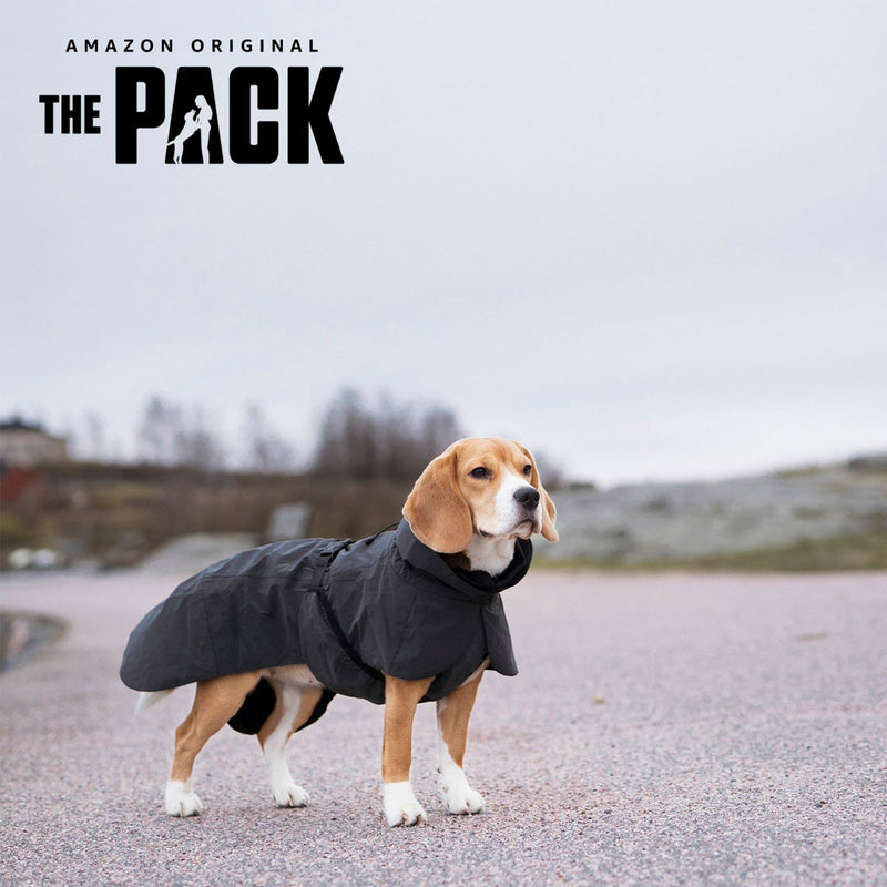 Paikka Hunde-Regenmantel Schwarz mit Beagle