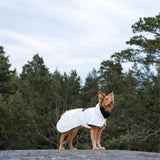 Paikka Hunde-Wintermantel Schwarz reflektierend an Hund