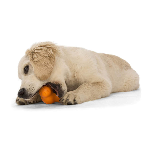 West Paw Tux Hundespielzeug | Orange